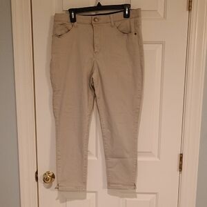 Wit & Wisdom Taupe Ankle Pants